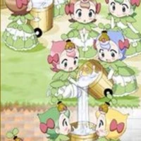 11 công chúa hạt giống