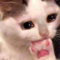 Tác giả thỉu năng