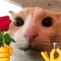 Người ẩn danh