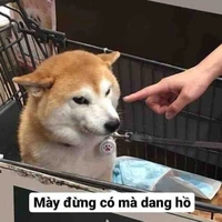 Nhân vật phụ 