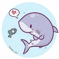 cá mập đây ! sợ chưa