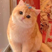 Hệ thống 001 [Lady]