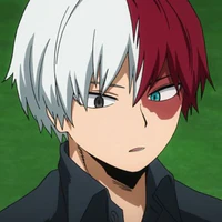 Todoroki Shoto