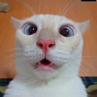 Tác giả thỉu năng><