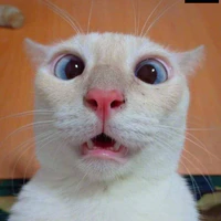 Tác giả thỉu năng><