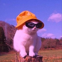 Tác giả Thiếu Muối của Hạo Hãn Tinh Khôn