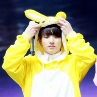 kookie.thỏ