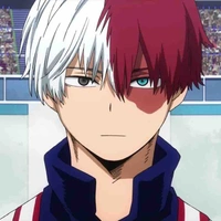 Shoto Todoroki 