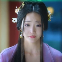 Nguyên Phi Hồng