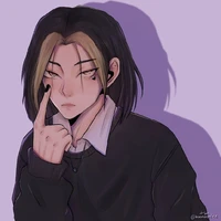 Y/N