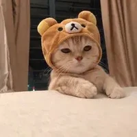 tác giả