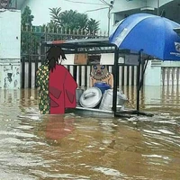 T/G