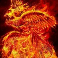Tiểu Hoàng–Phượng Hoàng–Gà nướng