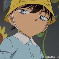 Kudo Shinichi ( lúc nhỏ )