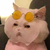 Con tác giả bị ngáo