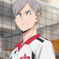 Lev Haiba