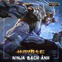 Hayate-bạch ảnh