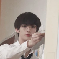 Đinh Trình Hâm ( anh của Lưu Diệu Văn )