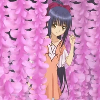 Nadeshiko