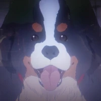 Kuma ( chó của Seiya )