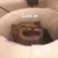 tác giả cute hột me