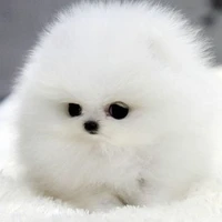 Hệ thống 018 (Min)