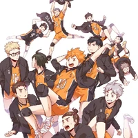 Karasuno Team