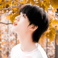 Đinh Trình Hâm (anh🐺)