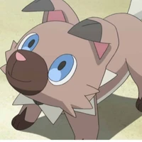 Rockruff