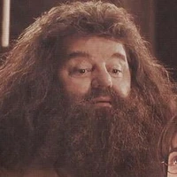 Rubeus Hagrid