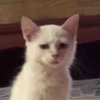 Mẹ 