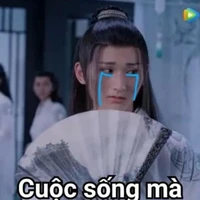 Nhiếp Hoài Tang