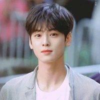 cha eun woo