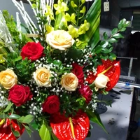 Người bạn Cô Nguyệt Nhi