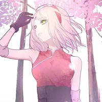 Haruno Sakura