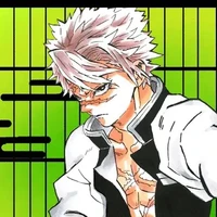 Shinazugawa Sanemi(phong cuk suk)