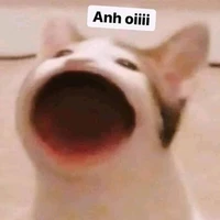 Min nói quá nhiều(tác giả)