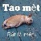 Thằng ất ơ ml nào đó’-’)