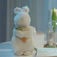 tác giả - Cin
