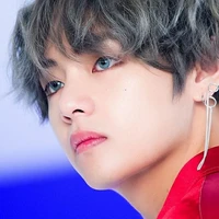 Kim taehyung( V )