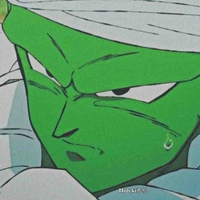 Picolo(bảo vệ trường)