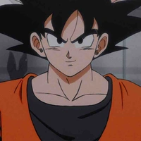 Goku(Kakarot)