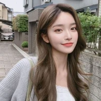 Han Y/n