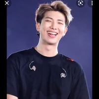 Kim Namjoon(bố V)