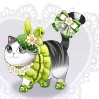 Mèo momo