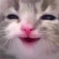 nhâng zậc chinh đợp