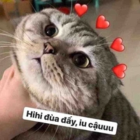 Tác giả