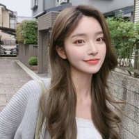 Han Y/n