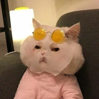 tác giả xik xắn đángiu