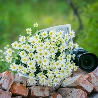 Nhân vật quần chúng